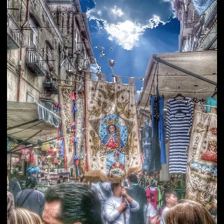 Napolicity *
